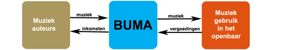 BumaModel